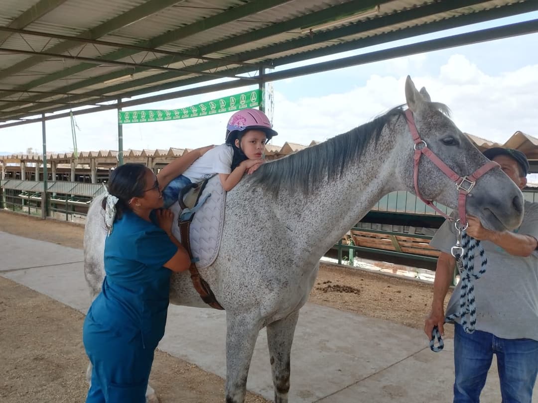 Equinoterapia 1
